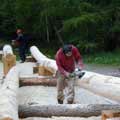 Forestry Commision, Carie Burn (2)